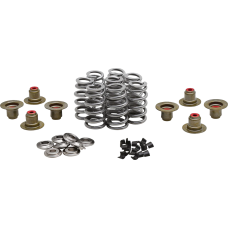 Kibblewhite Beehive Spring Kit - 0.640" Lift - Titanium - M8 | CVO - 0926-3457  20-24350